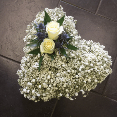 Petite Gypsophilia Heart - Petite Gypsophilia Heart
A beautiful white heart based with gypsophliia accompanyed by a corsarge of white Avalanche Roses and blue Eringium thistles complete the stunning arrangement.

Hand delivered by your local florist in Bury St Edmunds, Susettes Flowers.

Image shown is standard size 10"

Also avaiable in Deluxe 12" & Luxury Sizes 15"

 

Please note that due to the seasonal availability of flowers it may be necessary to vary individual stems from those shown. Our skilled florists may substitute flowers for one similar in style, quality and value. Where our designs include a sundry item like a vase or basket it may not always be possible to include the exact item as displayed. If such an occasion arises we will make every effort to replace the item with a suitable alternative.