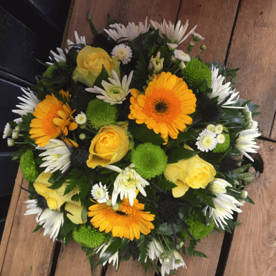 Funeral Posy in Lemon - A beautiful Lemon & cream Posy Pad. Roses, Chrysanthemums, Roses and Gerbra sit perfectly alongside variegated and lime kermit, Blue Thistle , Salal and Leather Leaf.

Hand delivered by your local florist in Bury St Edmunds, Susettes Flowers.

Image shown is Standard 10"

Also available in Medium 12" and Large 14"