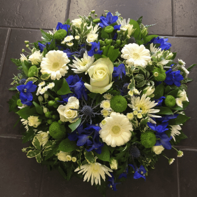 Blue & White Germini Posy Pad - A beautiful Blue & White Posy Pad. Roses, Chrysanthemums, Statice and blue Delphinium sit perfectly alongside variegated lime Dracaena, Green Hypericum, Cocculus, Salal and Blue Thistle.