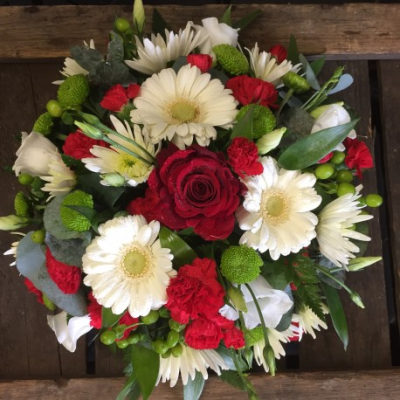 Red Green & White Posy Pad - A beautiful Rose and Carnation Posy. including White Gerbra, Delianne Chrysanthemums, Roses, Lime Blooms and Seasonal Foliage with a splash of lime Hypericum..

Image shown is Medium. 14"

Also avaiable in Standard 12" & Large Sizes 16"